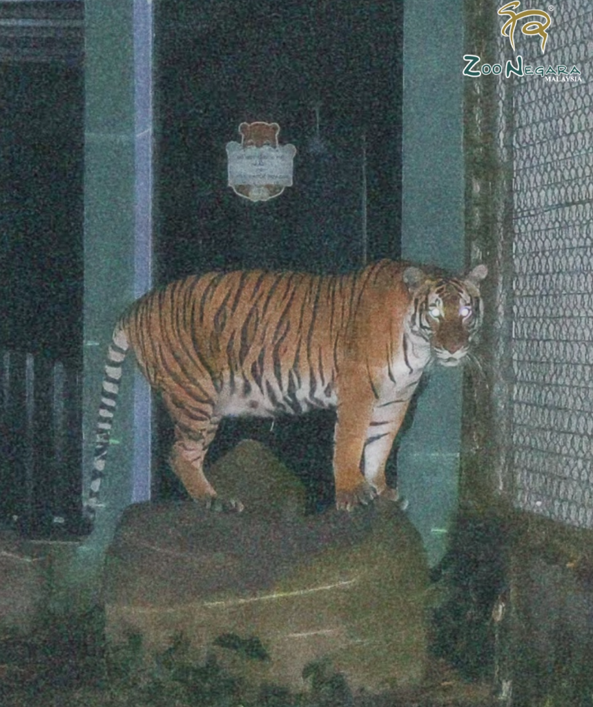 harga tiket zoo negara